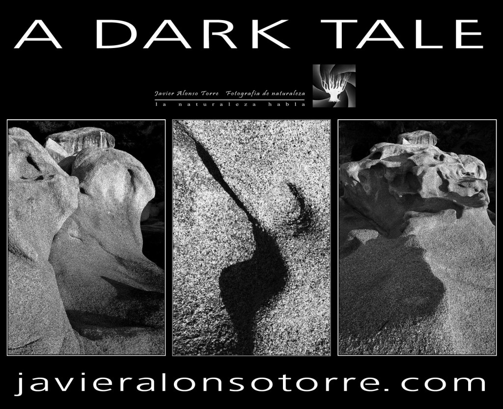 dark-taleweb